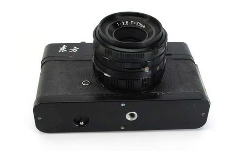 红梅、虎丘、天鹅、宝丽莱25 50元二手区的相机寻宝记